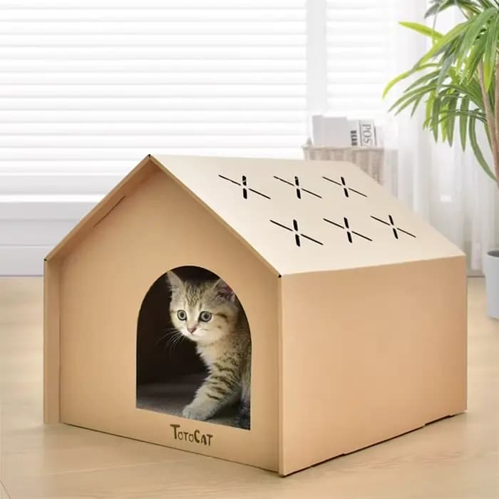 Maison de chat en papier avec tampons à gratter pour l'intérieur