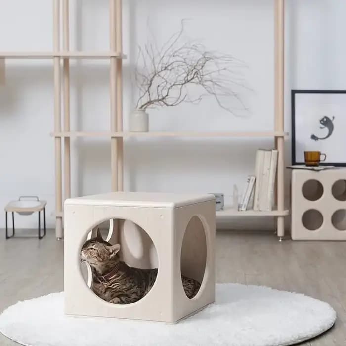 Maison de chat semi-fermée en bois