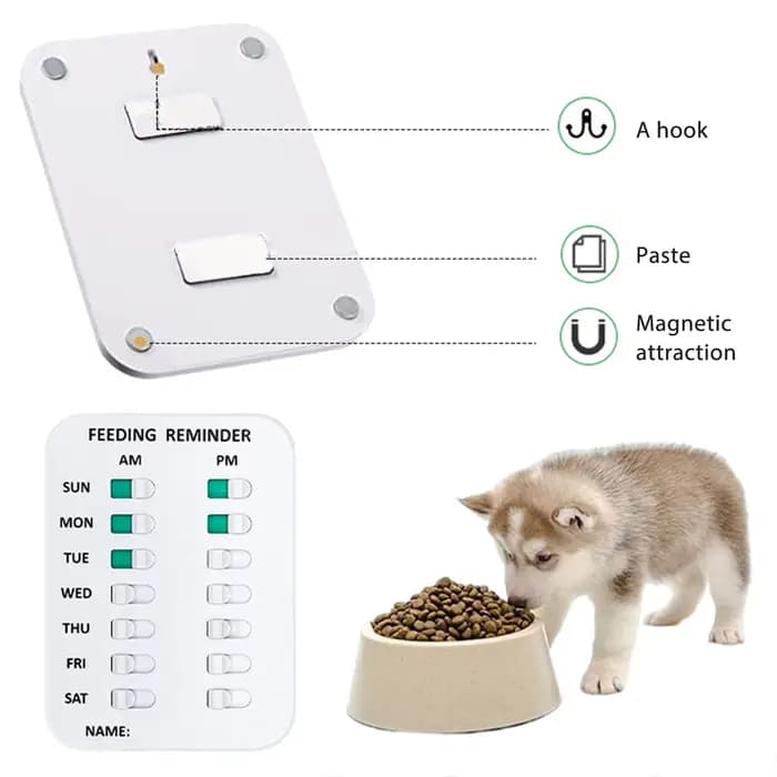 Rappel d'alimentation pour animaux de compagnie