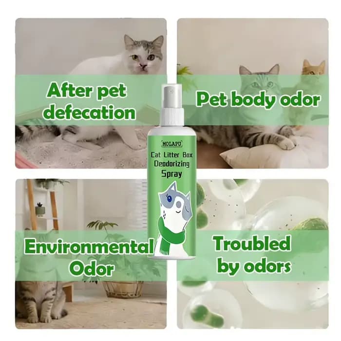 Spray désodorisant pour litière pour chats