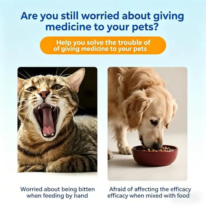 Outil d'administration de médicaments pour animaux de compagnie sans stress