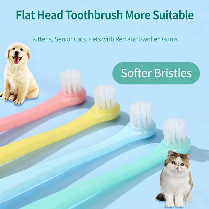 Brosse à dents pour animaux de compagnie