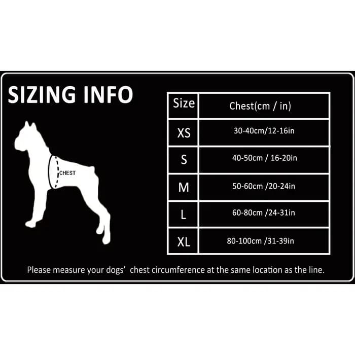 Nylon SFP Double-H personnalisé pour chien