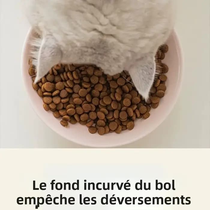 Bol en céramique créatif pour chat