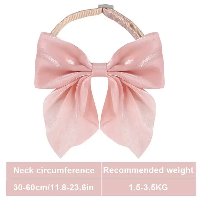 Collier pour chat réglable