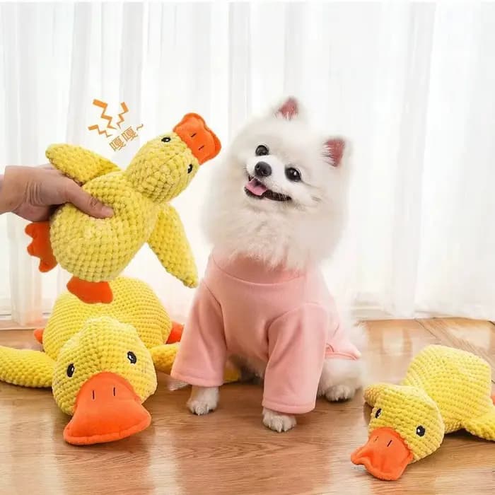 Jouet en peluche pour animaux de compagnie