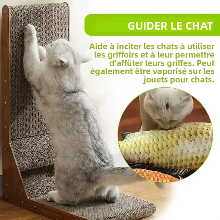 Spray Apaisant à la Menthe pour Chat – Soulagement de l'Anxiété