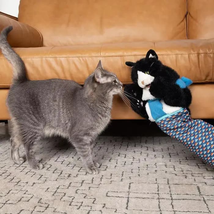 Gants de lutte pour chat, jouet pour chaton, gants interactifs pour chat, jouets de lutte pour chat, marionnette, fournitures de poupées pour animaux de compagnie