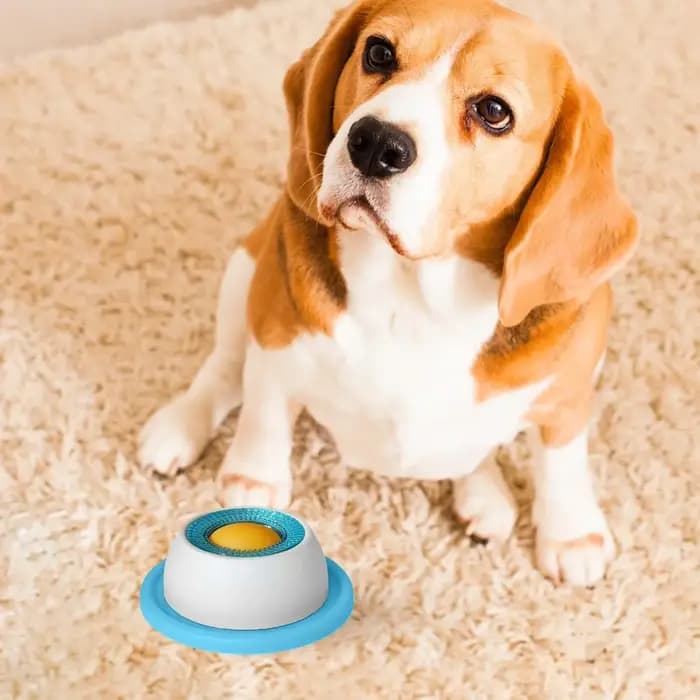 Tapis interactif à lécher pour animaux de compagnie