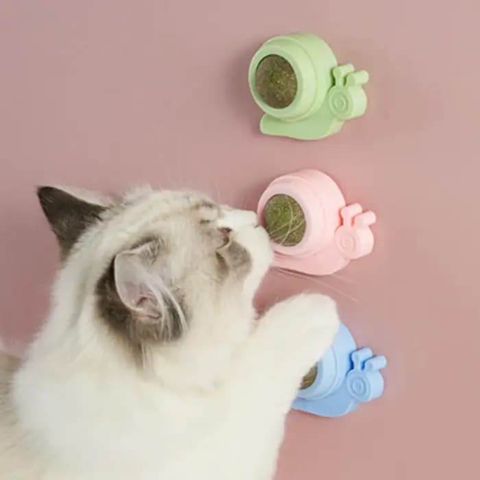 Jouet rotatif à la catnip pour chaton, pour le jeu et le nettoyage des dents