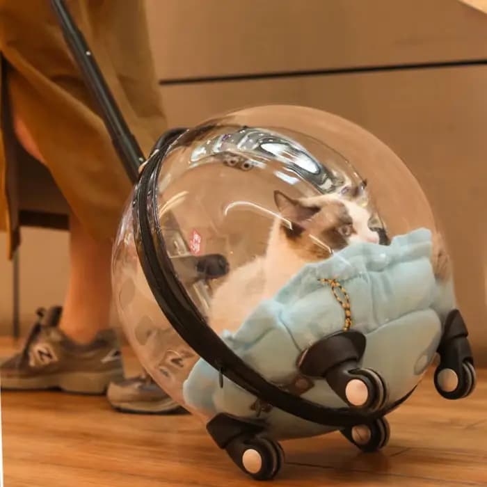 Sac de voyage portable pour chat