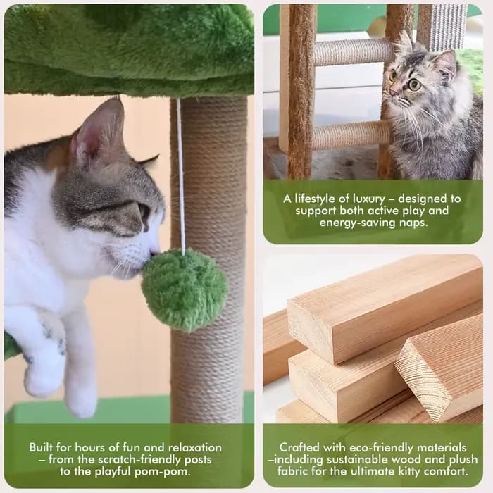Arbre à chat moyen : Tour à chat multi-niveaux verte avec escalier