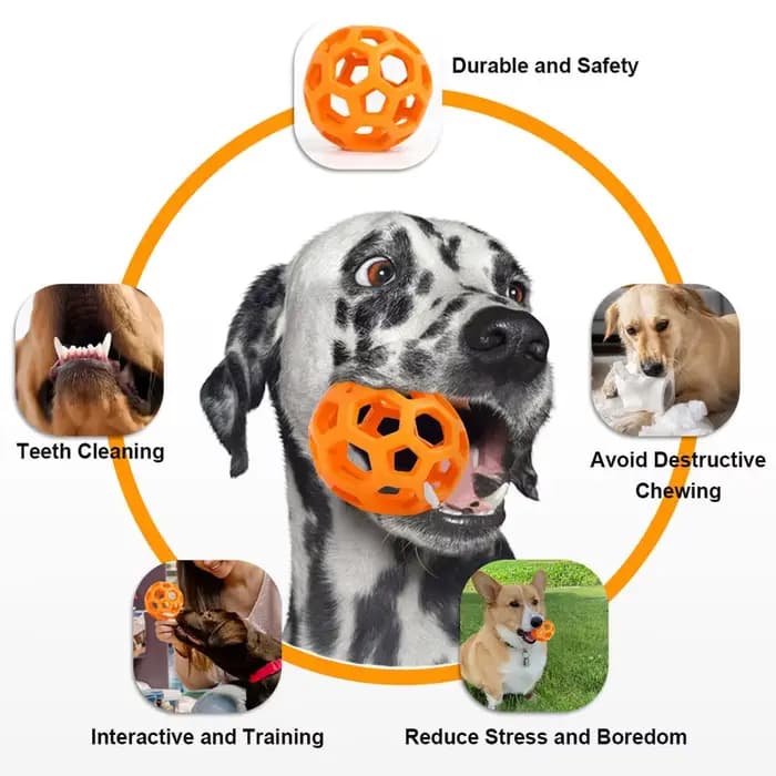 Jouet pour chien en caoutchouc avec cloche