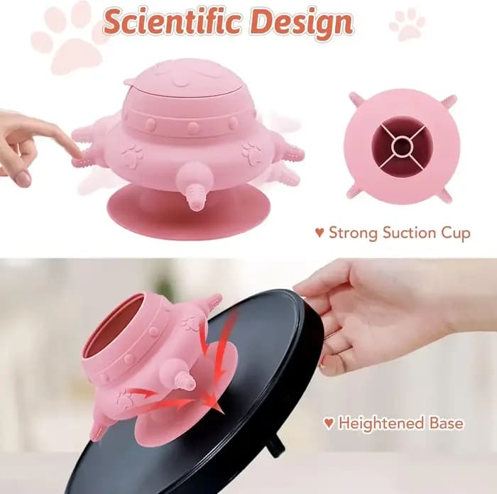Mangeoire pour chiots et chatons nouveau-nés