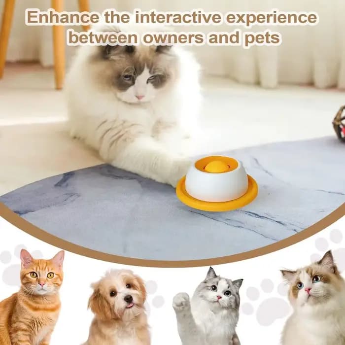 Jouets interactifs amusants pour animaux de compagnie