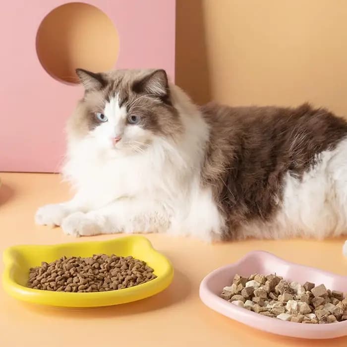 1 bol pour animaux de compagnie en forme de chat