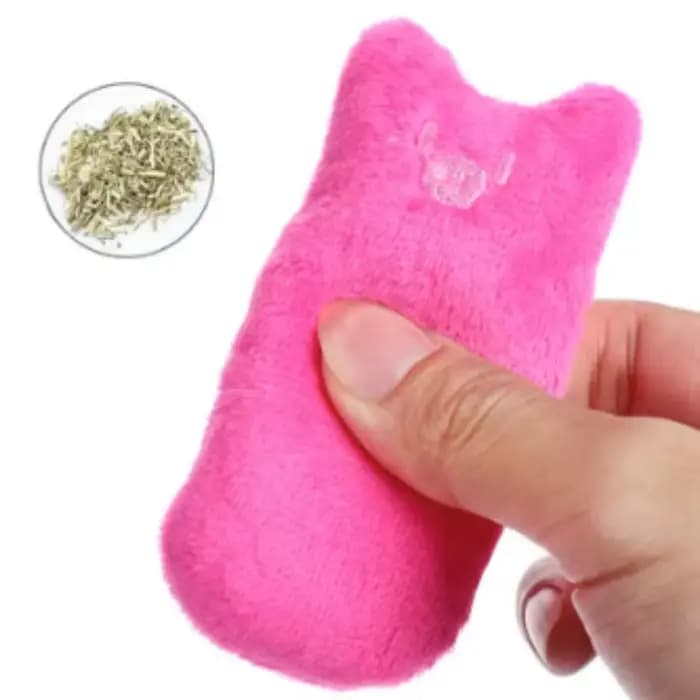 Jouet interactif en peluche d'herbe à chat pour chats