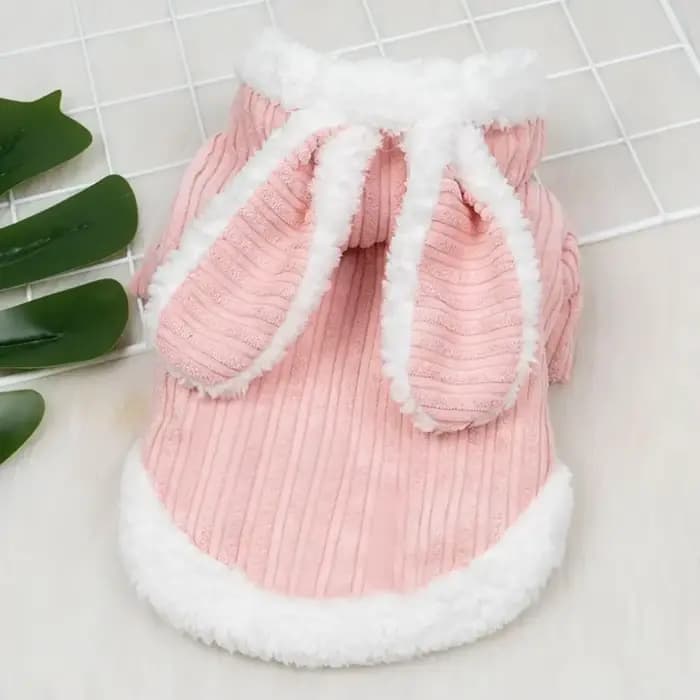 Pull d'hiver pour chat