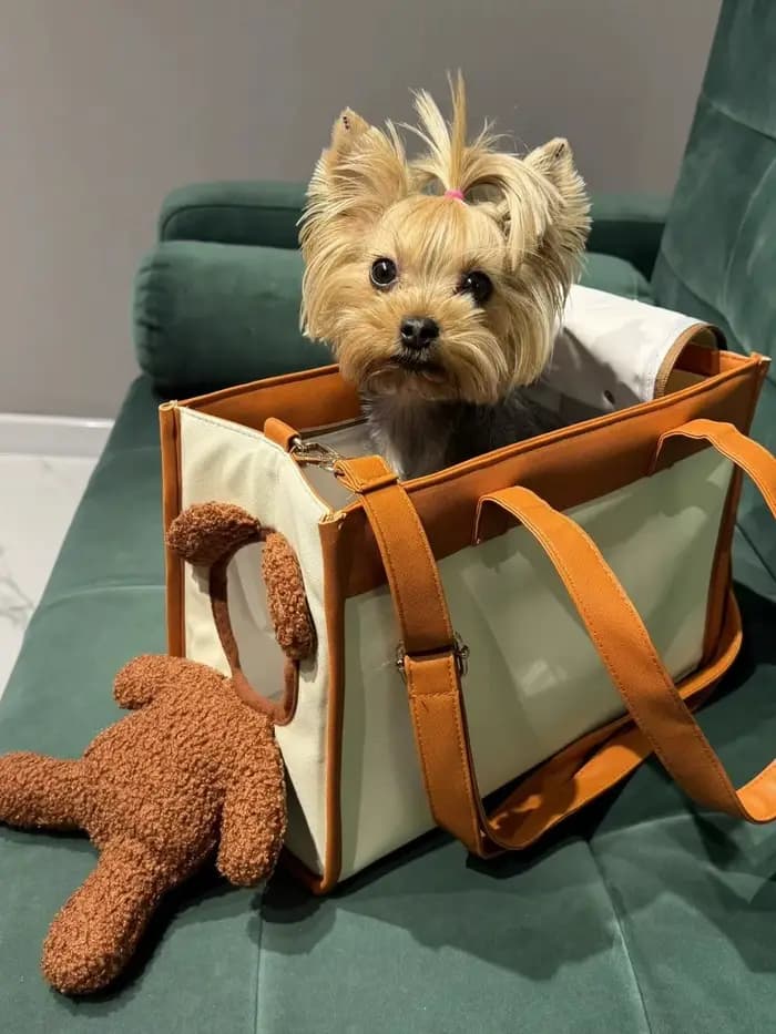 Sac de transport créatif pour animaux de compagnie