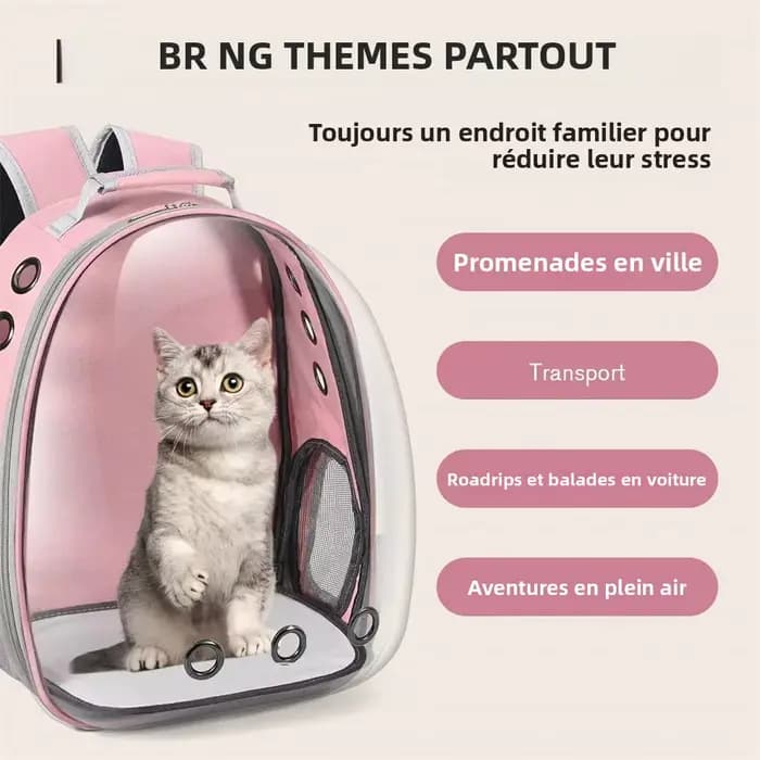 Sac à Dos pour Chat, Sac à Dos pour Chat en Plein Air