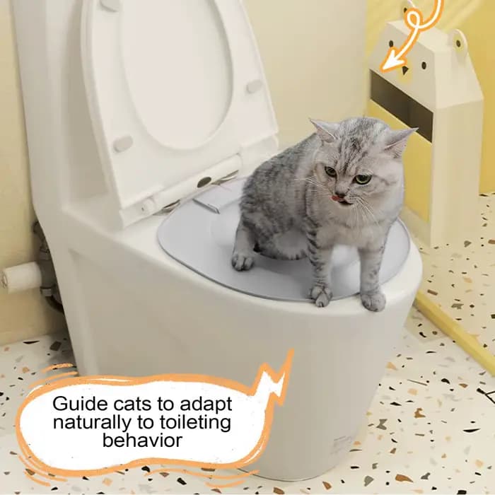Kit d'apprentissage de la propreté pour chat
