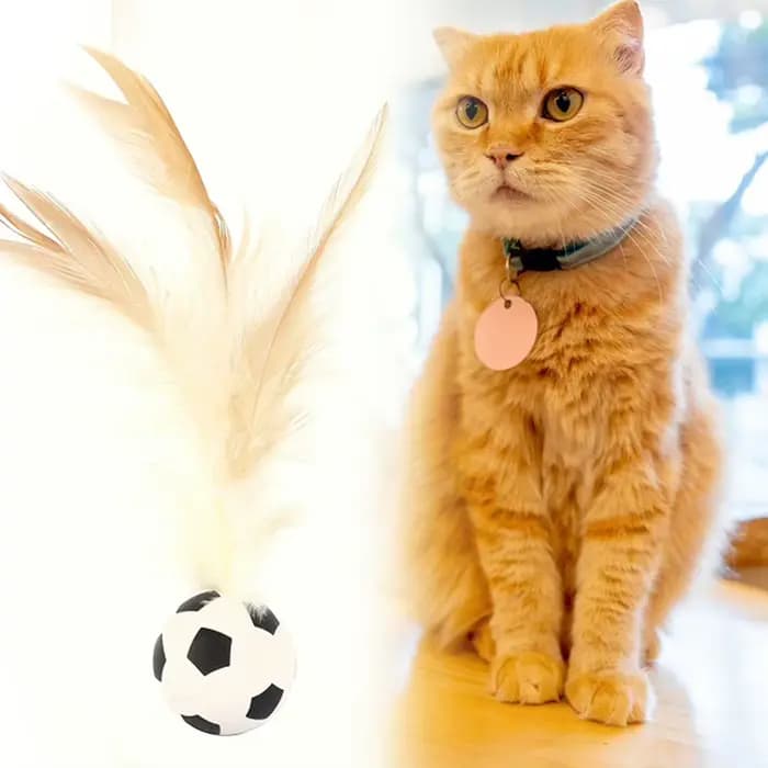 Balle interactive auto-amusante pour chat, balle rebondissante en plumes d'intérieur, balle de flutter pour animaux de compagnie à rebond élevé, accessoires pour animaux de compagnie
