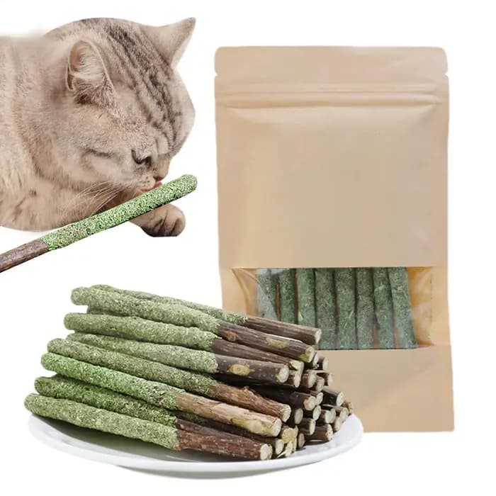 Bâtonnets d'herbe pour chat