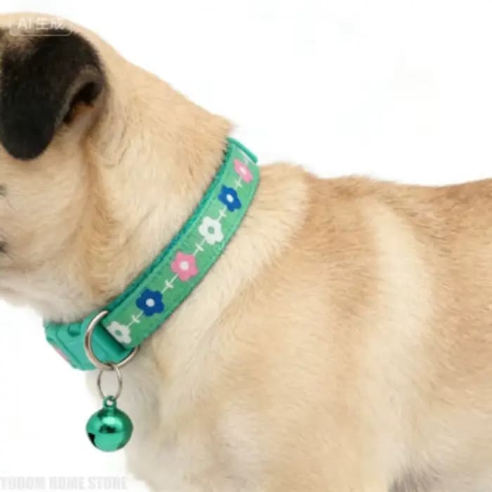 Collier universel pour chats et chiens