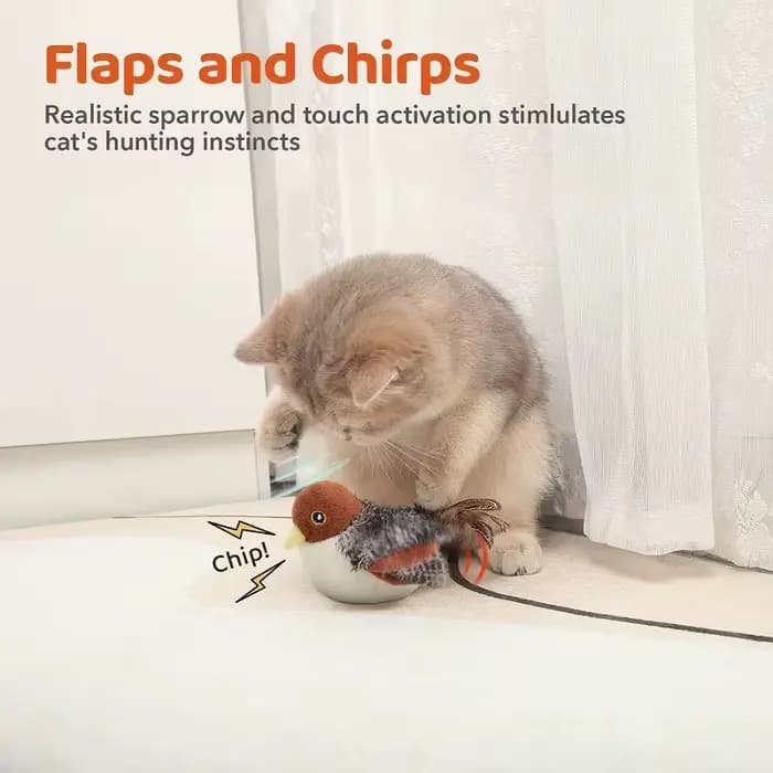 Jouets interactifs pour chats : Jouet oiseau volant pour chat
