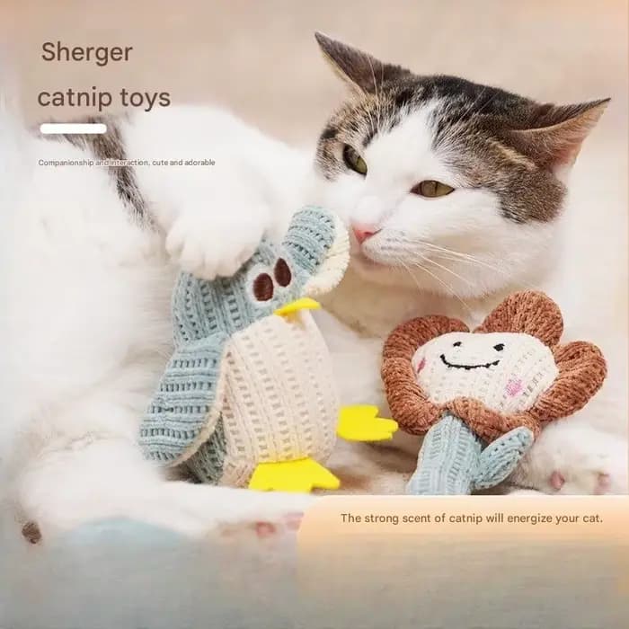 Jouets en peluche doux à la catnip pour chats