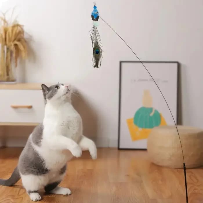 Jouet interactif pour chat en forme de paon avec clochette