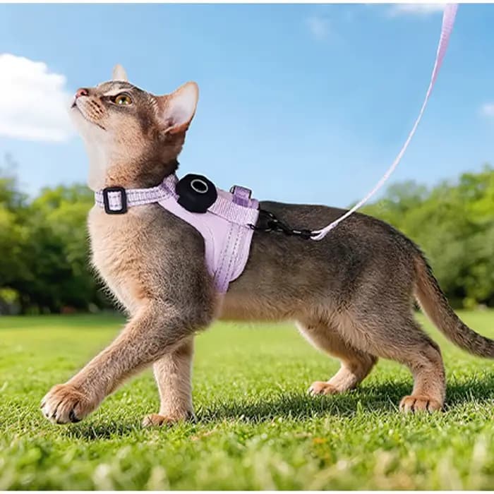 Harnais anti-évasion pour chat avec support AirTag