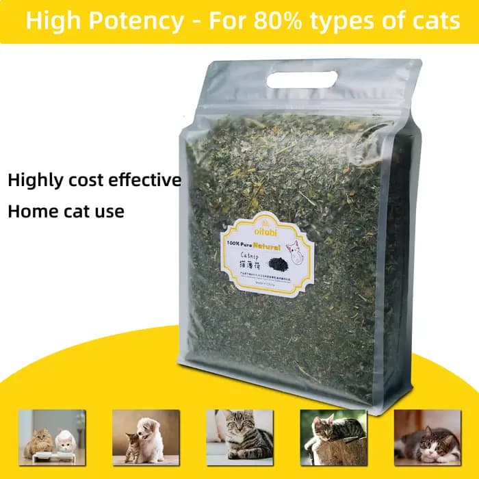 Oitabi 300 g/500 g d'herbe à chat naturelle pour chats et chatons