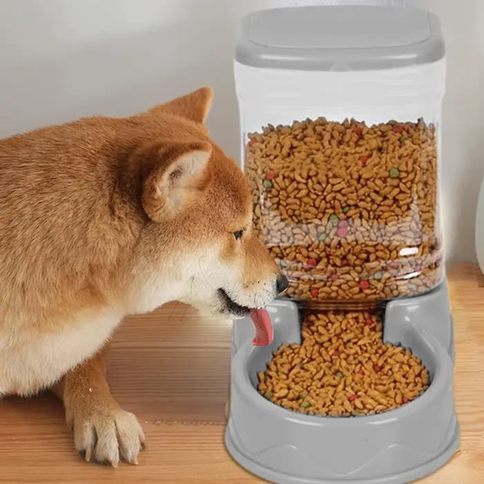 Distributeur automatique de nourriture et d'eau pour chats et chiens