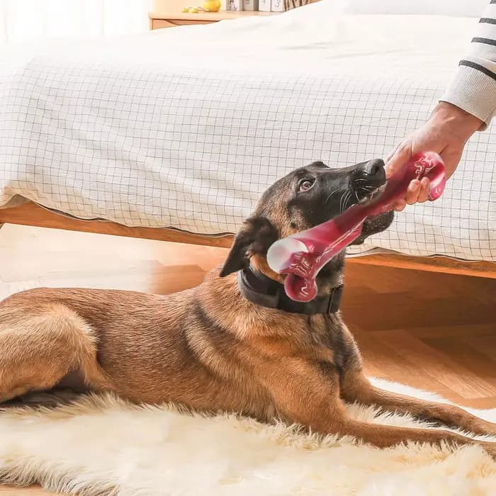 Os de chien au saveur de bacon