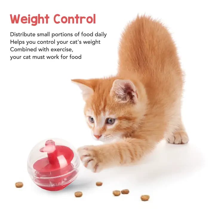 Puzzle Distributeur de Friandises pour Chat