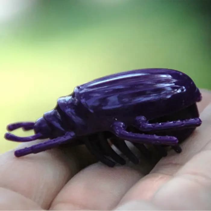 Jouet de simulation d'insecte pour animaux de compagnie