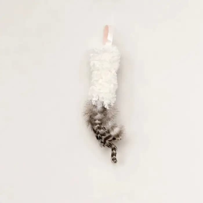 Jouets amusants pour chats en laine et plumes, plumes interactives, jouets à mâcher résistants aux morsures pour chiots et chatons, accessoires pour animaux de compagnie