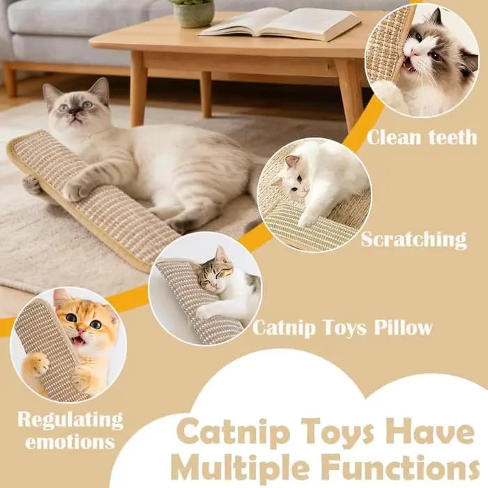 Jouet pour chat, jouet à mâcher interactif à la catnip