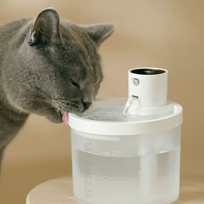 Fontaine d'eau pour animaux de compagnie
