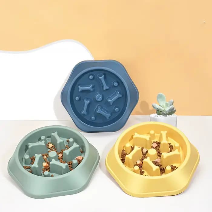 Bols d'alimentation lente pour chats et chiens