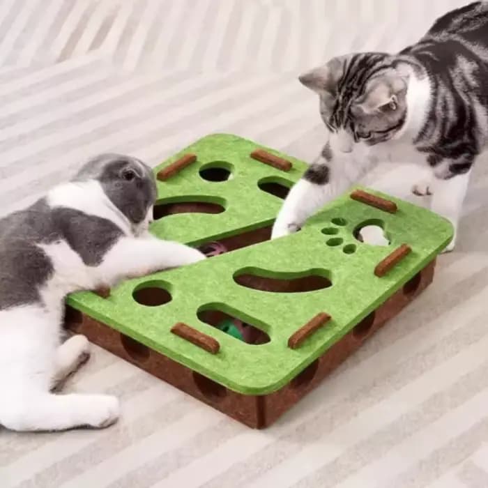 Jouet interactif pour chat