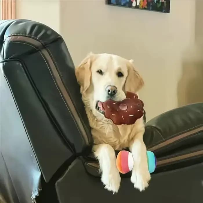 Ensemble de 7/10 pièces de jouets sonores pour chiots, à mâcher en peluche pour animaux de compagnie, collations aux fruits et légumes, jouets pour chiots, adaptés aux jeux mignons