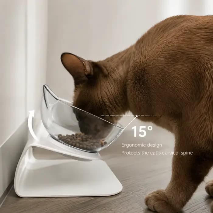 Bol orthopédique incliné à 15 degrés pour chat
