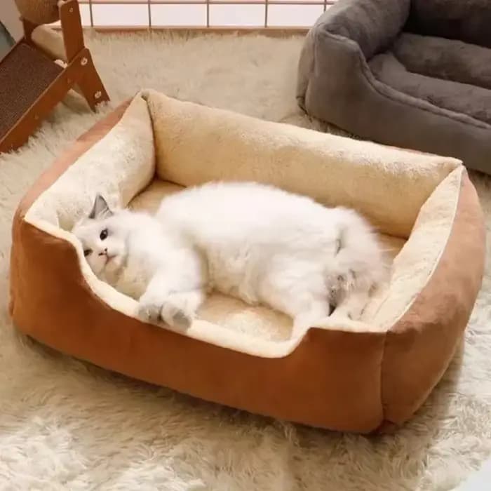 Nouveau lit pour chats