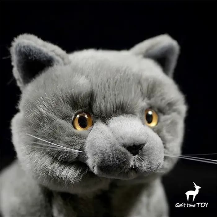 Jouet en peluche British Shorthair réaliste-animal en peluche chat britannique bleu réaliste, peluche bleu russe, cadeau de poupée de Simulation