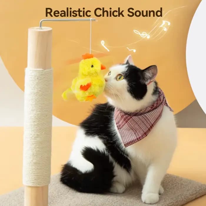 ROJECO herbe-aux-chats jouets interactif battant poussin avec son