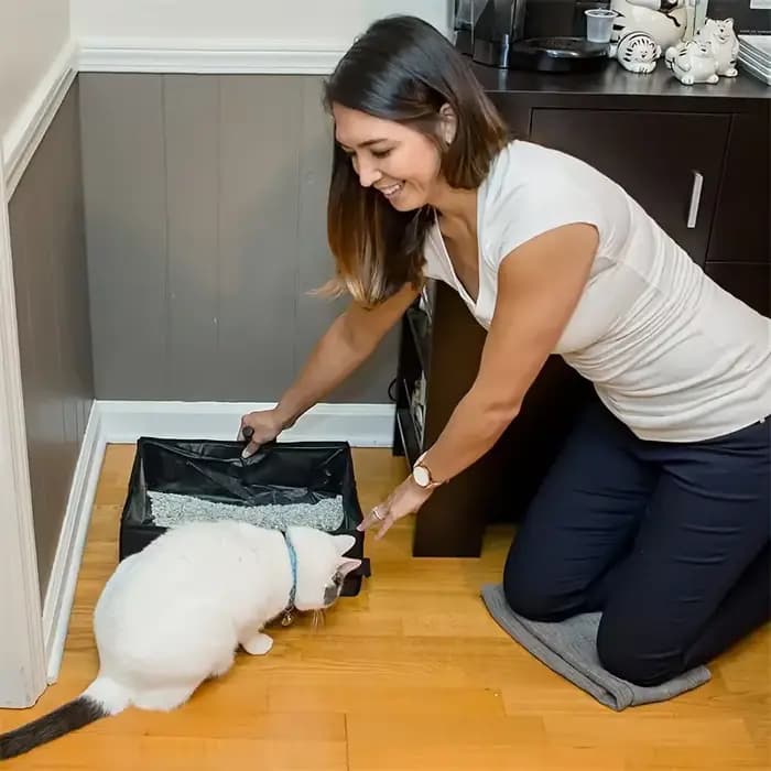 Bac à litière de voyage pliable Portable pour animaux de compagnie