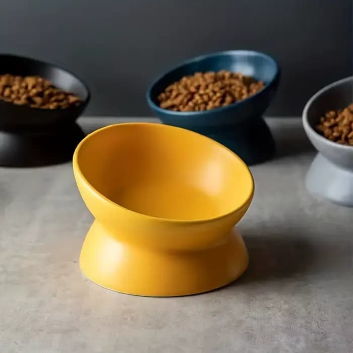 Ensemble de bols surélevés en céramique pour chat