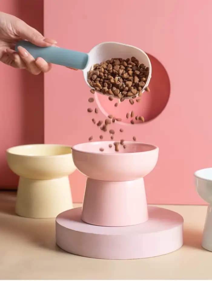 1 bol pour chat, bol pour nourriture pour chat